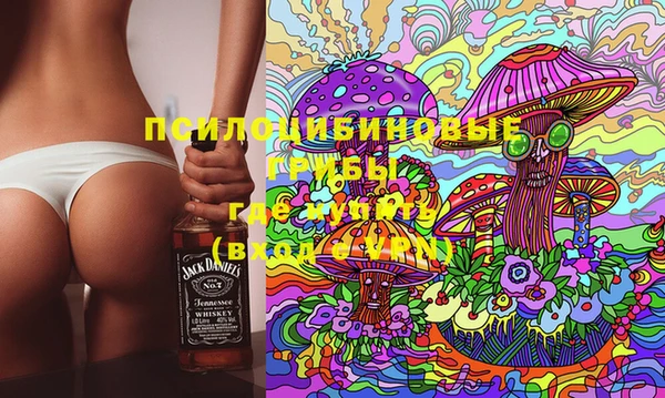 гашик Михайловка