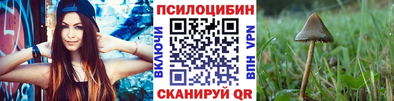 Галлюциногенные грибы Psilocybine cubensis  блэк спрут ONION  Салават  купить  цена 
