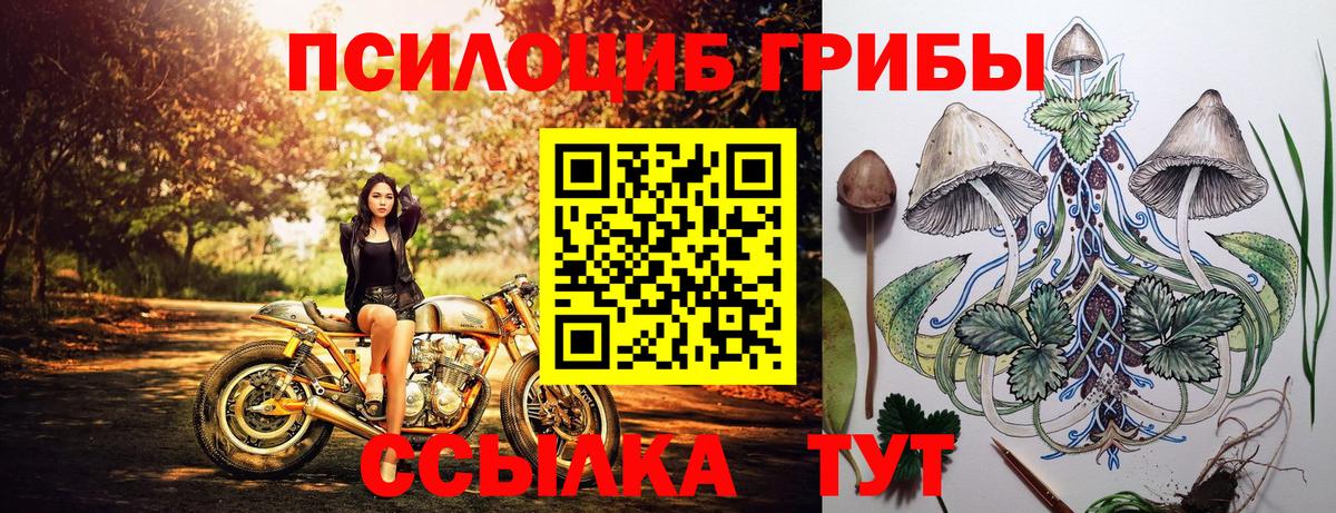 Салават  Псилоцибиновые грибы Cubensis  Вход с VPN 